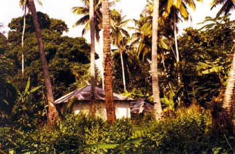 �le de Zanzibar